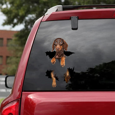 [da0481-snf-tnt]-dachshund-crack-car-sticker-dogs-lover