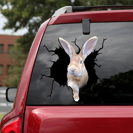 [ld0116-snf-lad]-giant-continental-rabbit-crack-car-sticker-rabbit-lover