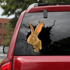 [ld0118-snf-lad]-giant-continental-rabbit-crack-car-sticker-rabbit-lover