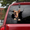 [ld0123-snf-lad]-airedale-terrier-crack-car-sticker-dogs-lover