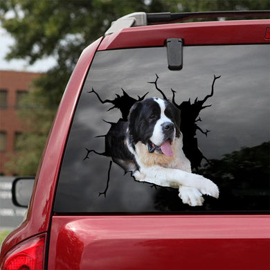 [ld0129-snf-lad]-saint-bernard-crack-car-sticker-dogs-lover