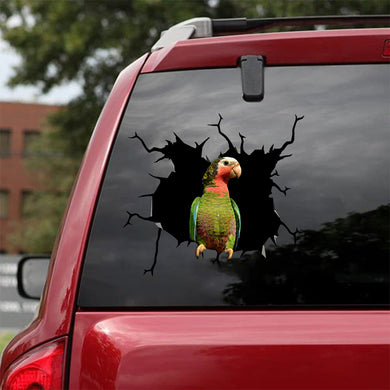 [bv0050-snf-tnt]-parrot-crack-car-sticker-birds-lover