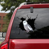 [bv0051-snf-tnt]-parrot-crack-car-sticker-parrot-lover