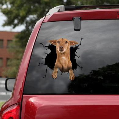 [ld1020-snf-lad]-podenco-crack-car-sticker-dogs-lover