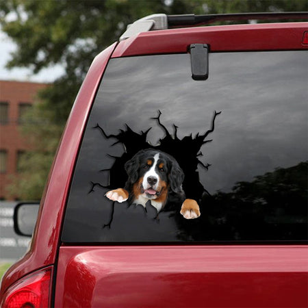 [sk1044-snf-tpa]-bernese-mountain-crack-sticker-dogs-lover