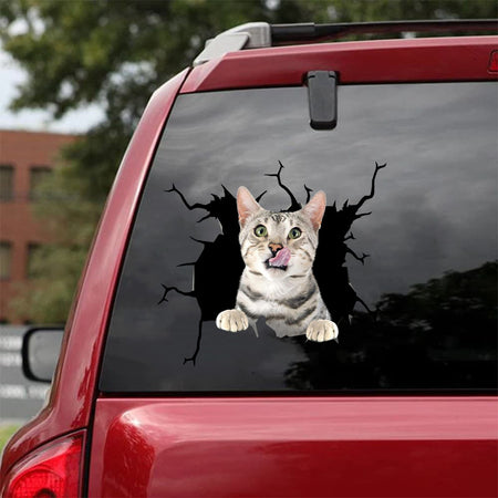 [da0488-snf-tnt]-bengal-cat-crack-car-sticker-cats-lover