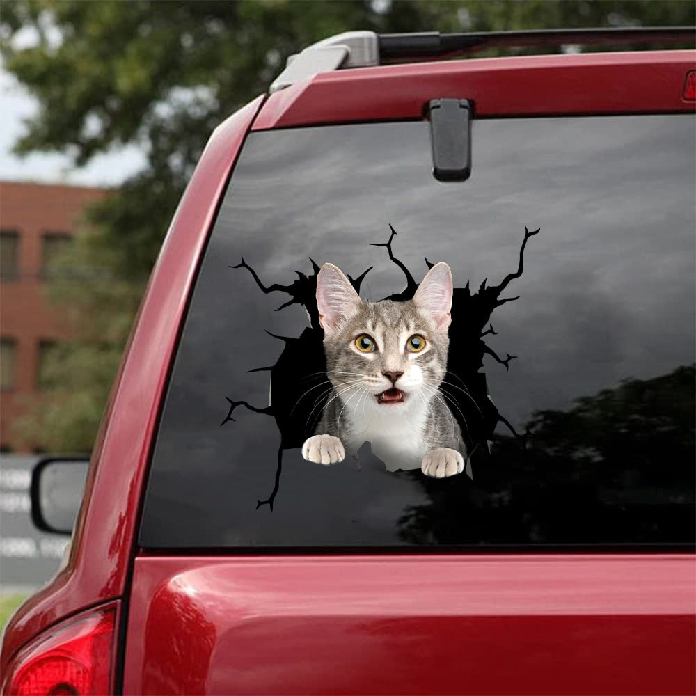 [da0489-snf-tnt]-bengal-cat-crack-car-sticker-cats-lover