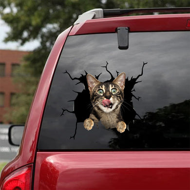 [da0491-snf-tnt]-bengal-cat-crack-car-sticker-cats-lover