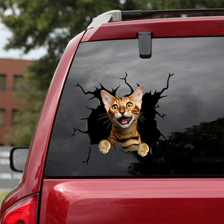 Bengal Cat Crack Bumper Sticker Funny Gifs Art Stickers Presents For Dads