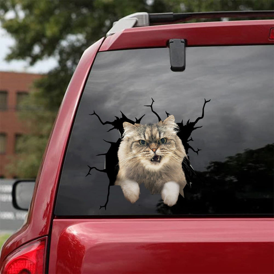 [da0497-snf-tnt]-persian-cat-crack-car-sticker-cats-lover
