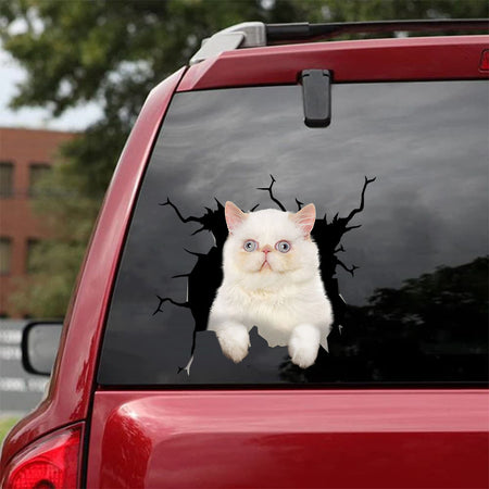 [da0498-snf-tnt]-persian-cat-crack-car-sticker-cats-lover