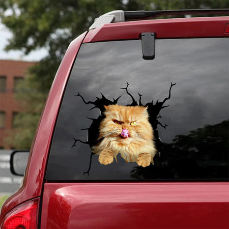 [da0499-snf-tnt]-persian-cat-crack-car-sticker-cats-lover
