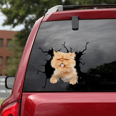 [da0500-snf-tnt]-persian-cat-crack-car-sticker-cats-lover