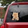 [da0500-snf-tnt]-persian-cat-crack-car-sticker-cats-lover