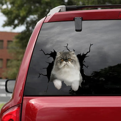[da0502-snf-tnt]-persian-cat-crack-car-sticker-cats-lover