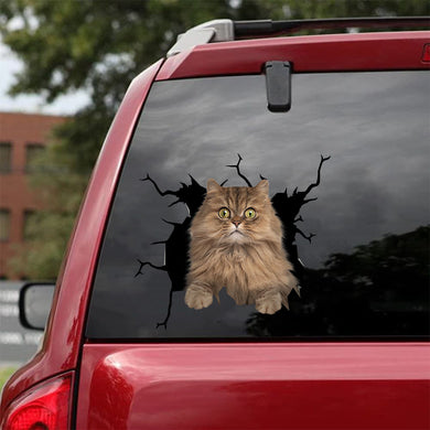 [da0503-snf-tnt]-persian-cat-crack-car-sticker-cats-lover