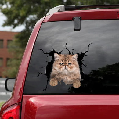 [da0504-snf-tnt]-persian-cat-crack-car-sticker-cats-lover