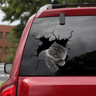 [da0505-snf-tnt]-persian-cat-crack-car-sticker-cats-lover