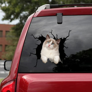 [da0483-snf-tnt]-ragdoll-cat-crack-car-sticker-cats-lover