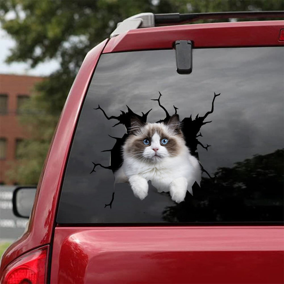 [da0484-snf-tnt]-ragdoll-cat-crack-car-sticker-cats-lover