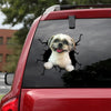 [th0495-snf-tpa]-shih-tzu-crack-car-sticker-dogs-lover