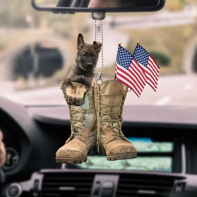 veteran-ornament-decorate-car-veteran-lovers