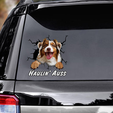 australian-shepherd-car-sticker,-window-decals-car,-gift-for-car,-dogs-decals-lover,-animals-decals