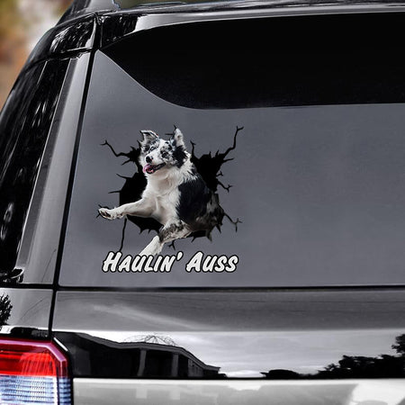 australian-shepherd-car-decals,-hight-qulity-window-decals-car,-gift-for-car,-dogs-decals-lover,-gift-idea