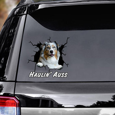 australian-shepherd-car-decals-sticker,-window-decals-car,-gift-for-car,-dogs-decals-lover,-gift-idea