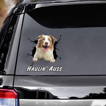 australian-shepherd-car-sticker,-hight-quality-decals-car,-gift-for-car,-dogs-decals-lover,-gift-idea
