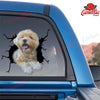 Havanese Crack Decal Sticker Car Pretty Stickers Birthday Gifts For Her
