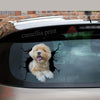 Havanese Crack Decal Sticker Car Pretty Stickers Birthday Gifts For Her