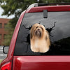 [bh0262-snf-lad]-löwchen-crack-car-sticker-dogs-lover