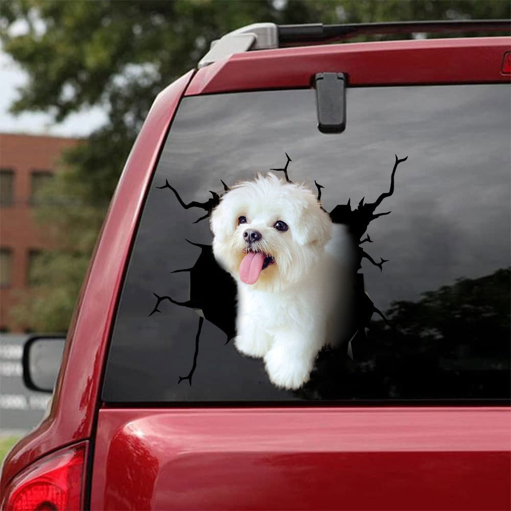 [bh0267-snf-lad]-maltese-crack-car-sticker-dogs-lover