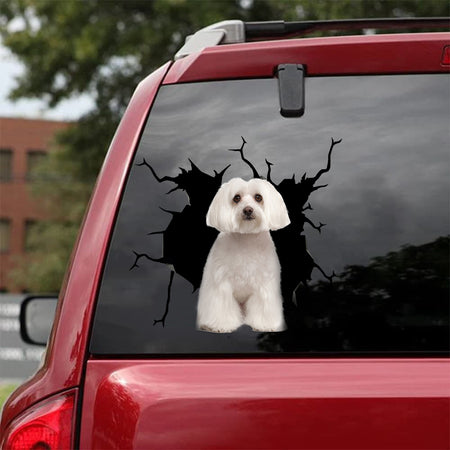 [bh0273-snf-lad]-maltese-crack-car-sticker-dogs-lover