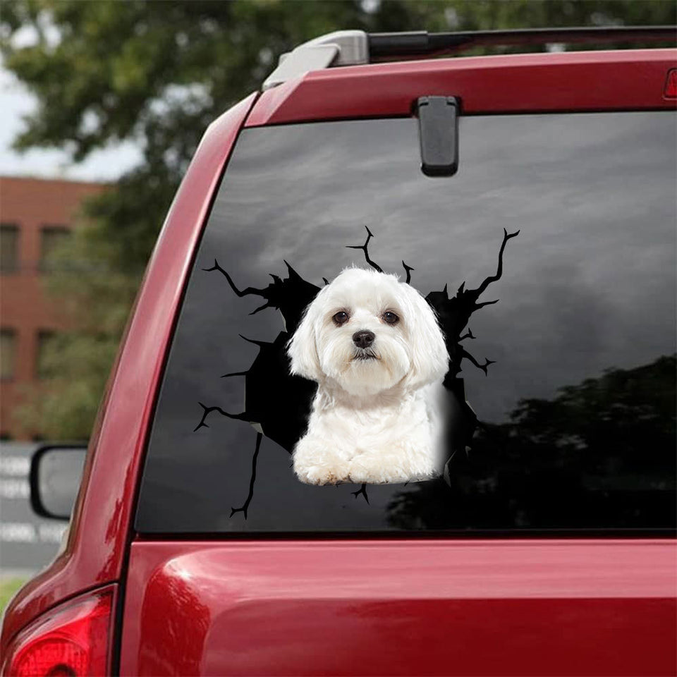 [bh0274-snf-lad]-maltese-crack-car-sticker-dogs-lover
