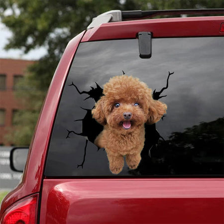 [bh0275-snf-lad]-poodle-crack-car-sticker-dogs-lover