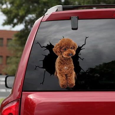 [bh0276-snf-lad]-poodle-crack-car-sticker-dogs-lover