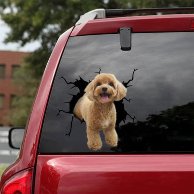 [bh0278-snf-lad]-poodle-crack-car-sticker-dogs-lover