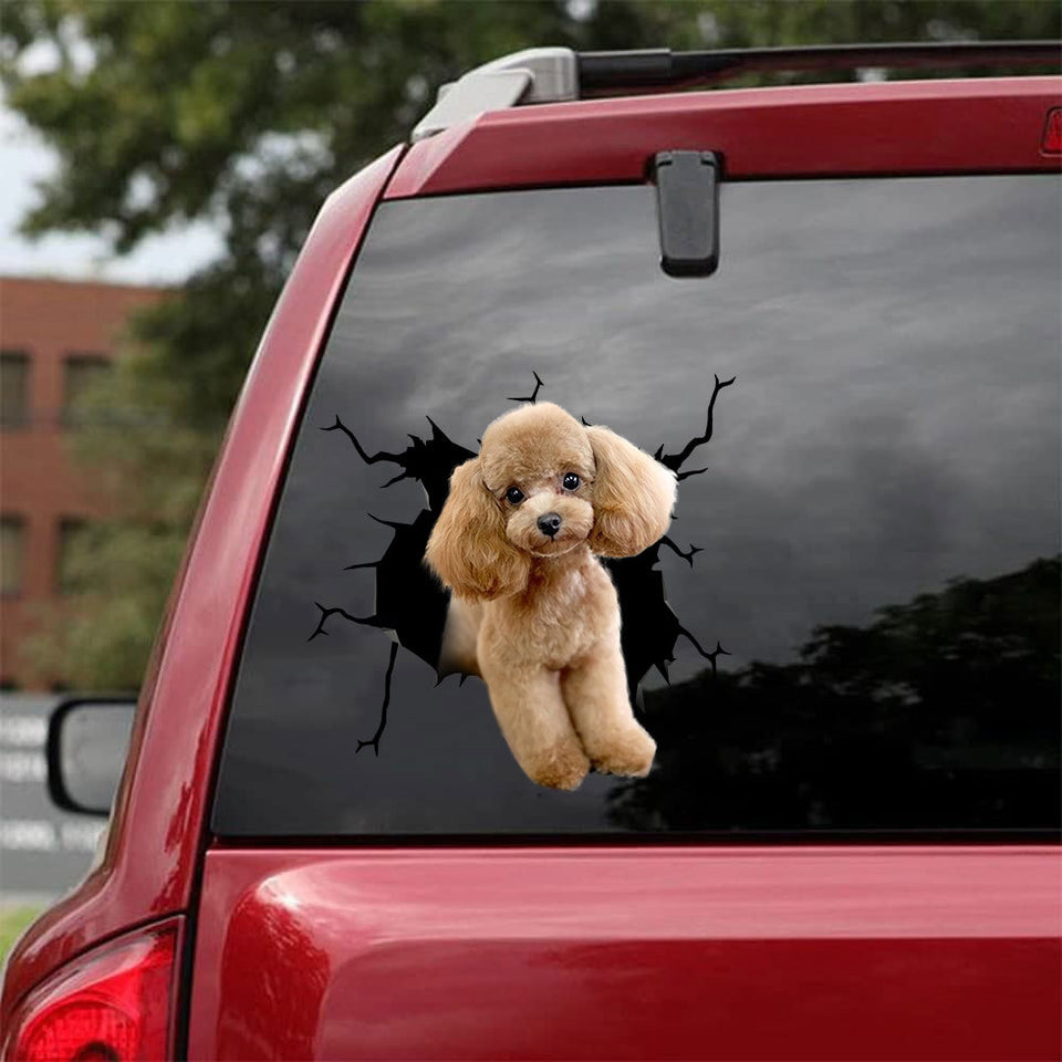 [bh0279-snf-lad]-poodle-crack-car-sticker-dogs-lover