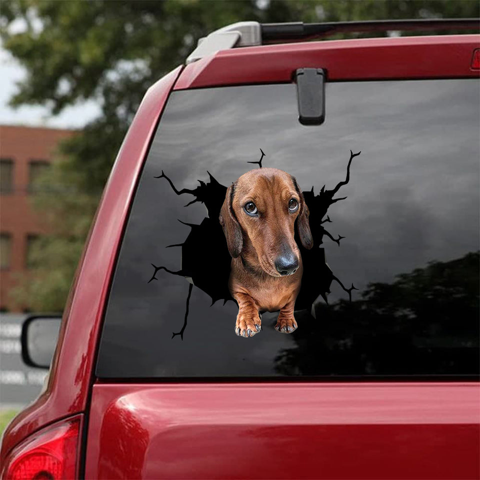 [bh0290-snf-lad]-dachshund-crack-car-sticker-dogs-lover