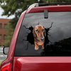 [bh0290-snf-lad]-dachshund-crack-car-sticker-dogs-lover