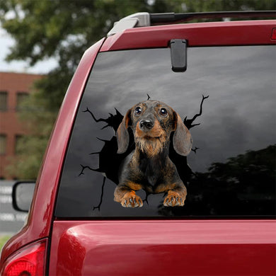 [bh0293-snf-lad]-dachshund-crack-car-sticker-dogs-lover