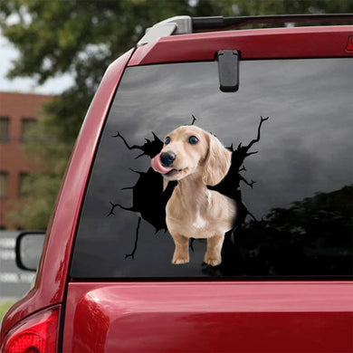 [bh0296-snf-lad]-dachshund-crack-car-sticker-dogs-lover