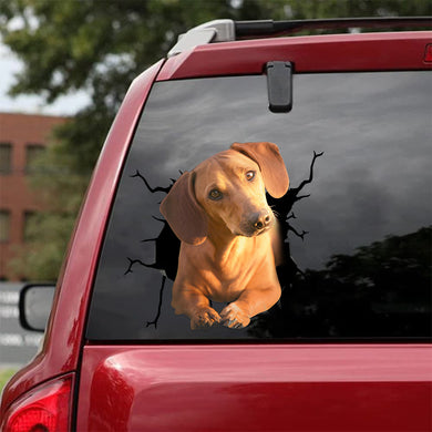 [bh0297-snf-lad]-dachshund-crack-car-sticker-dogs-lover