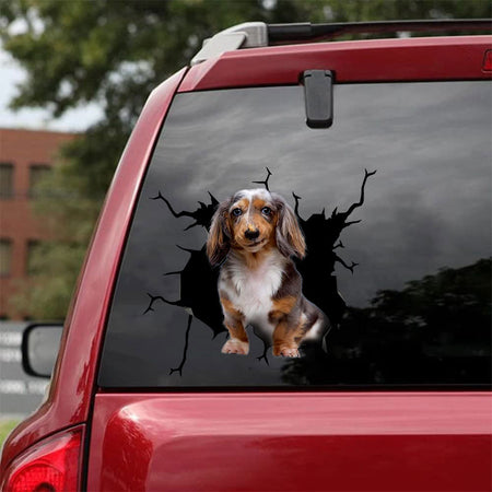 [bh0298-snf-lad]-dachshund-crack-car-sticker-dogs-lover