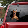 [bh0324-snf-tnt]-miniature-pinscher-crack-car-sticker-dogs-lover