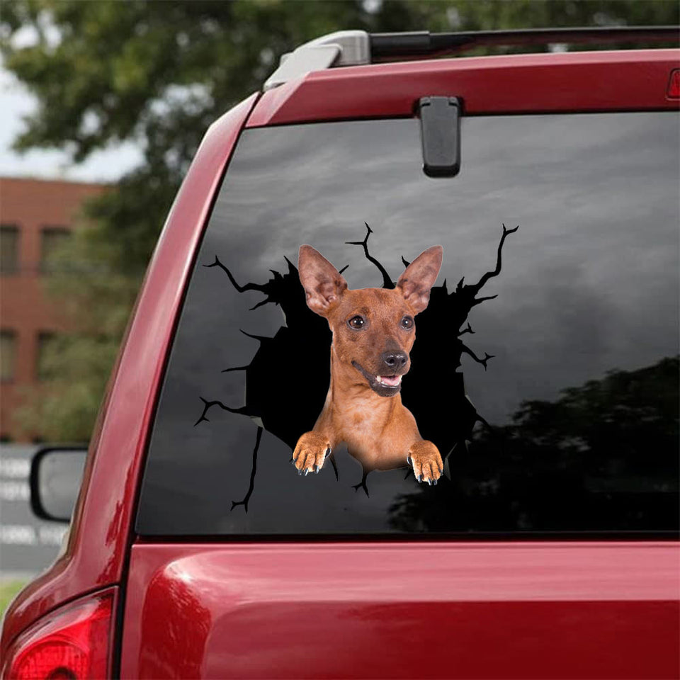 [bh0325-snf-tnt]-miniature-pinscher-crack-car-sticker-dogs-lover