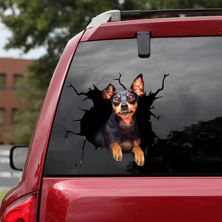 [bh0326-snf-tnt]-miniature-pinscher-crack-car-sticker-dogs-lover