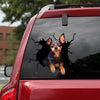 [bh0326-snf-tnt]-miniature-pinscher-crack-car-sticker-dogs-lover